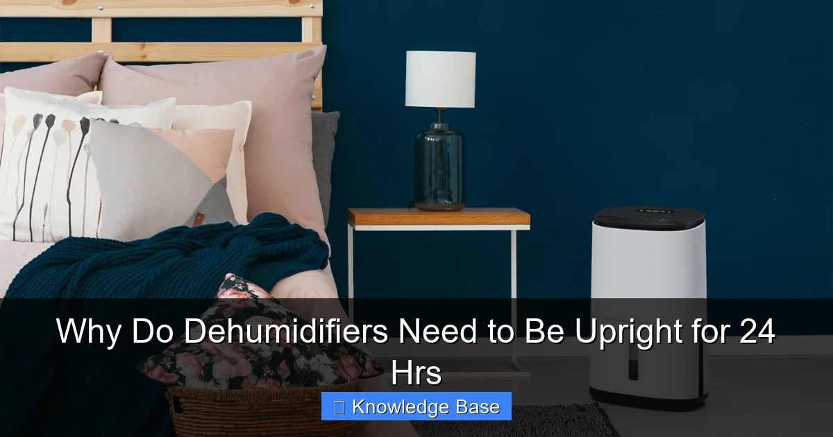 Why Do Dehumidifiers Need to Be Upright for 24 Hrs