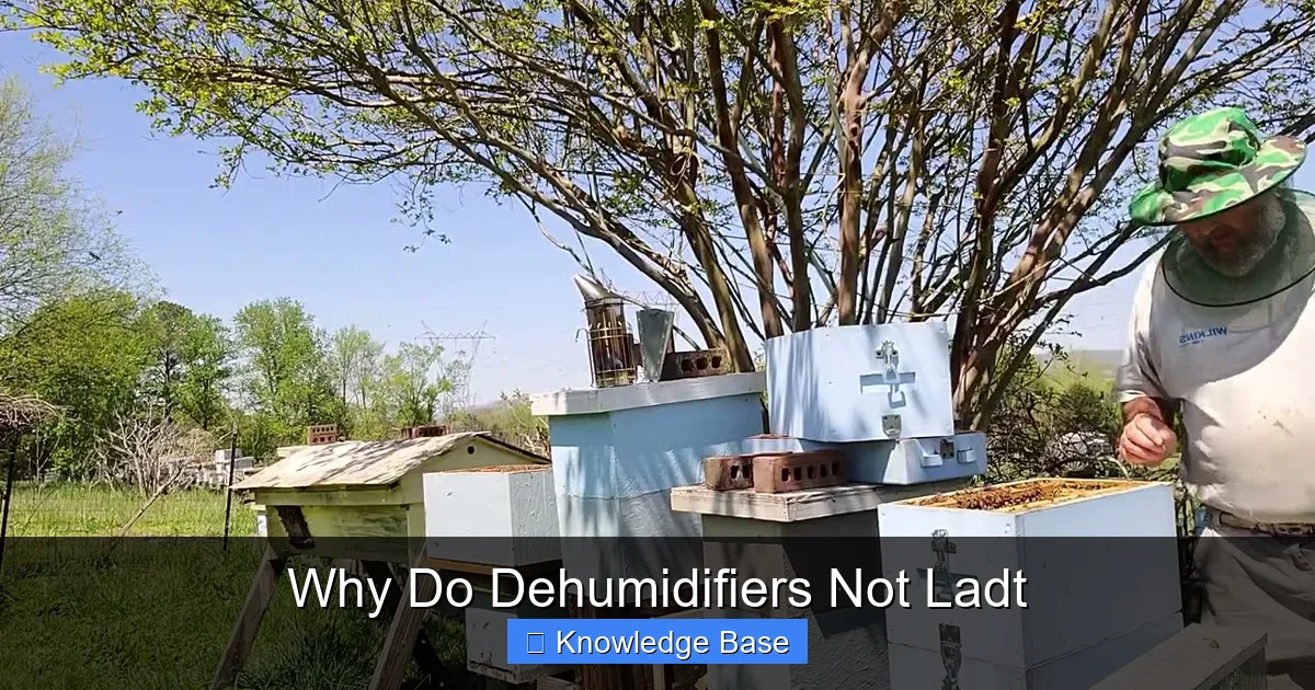 Why Do Dehumidifiers Not Ladt