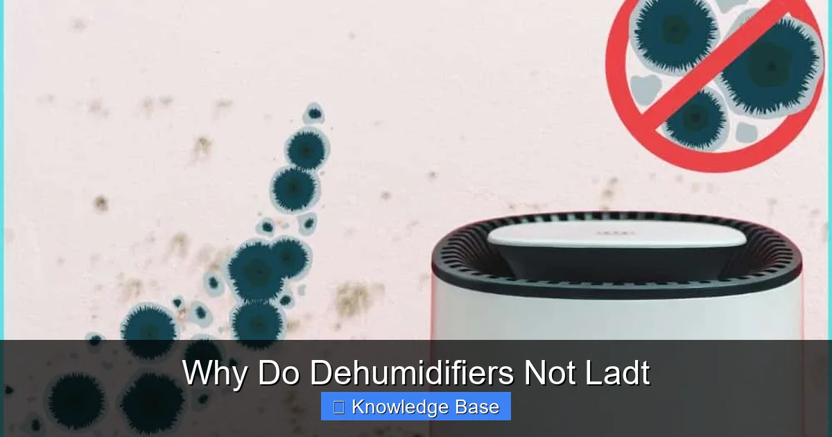 Why Do Dehumidifiers Not Ladt