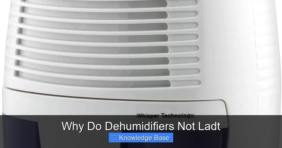 Why Do Dehumidifiers Not Ladt