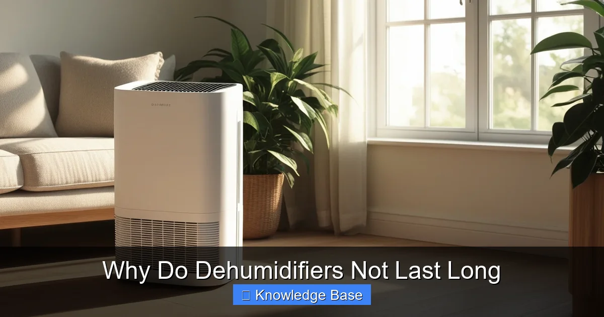 Why Do Dehumidifiers Not Last Long