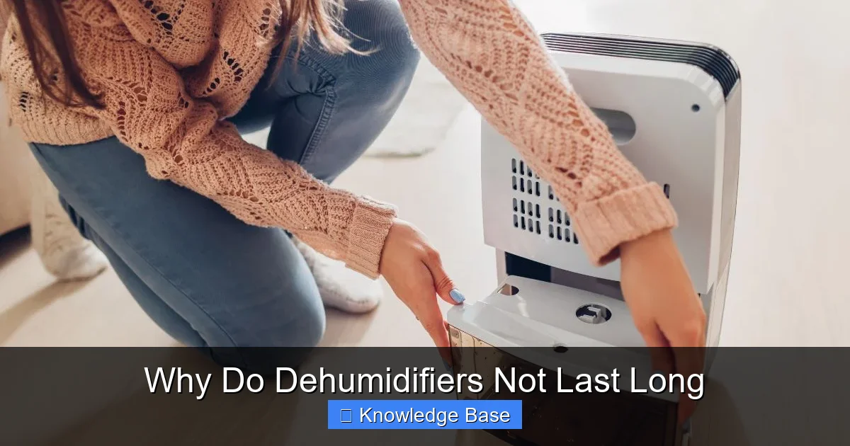 Why Do Dehumidifiers Not Last Long