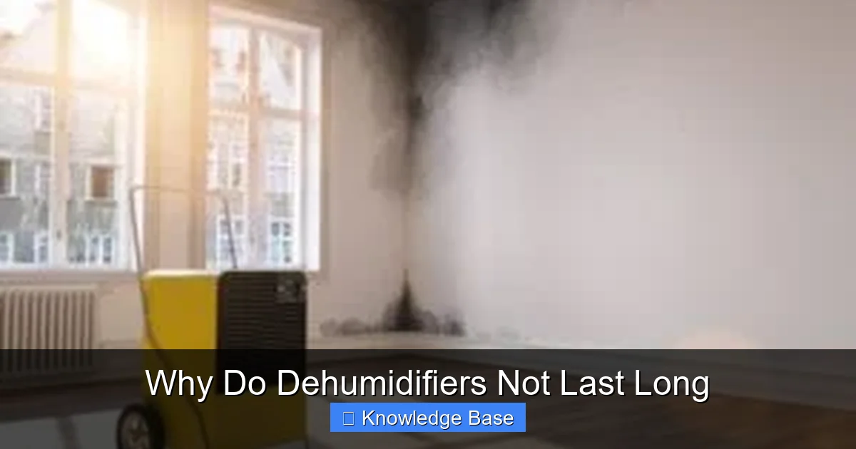 Why Do Dehumidifiers Not Last Long