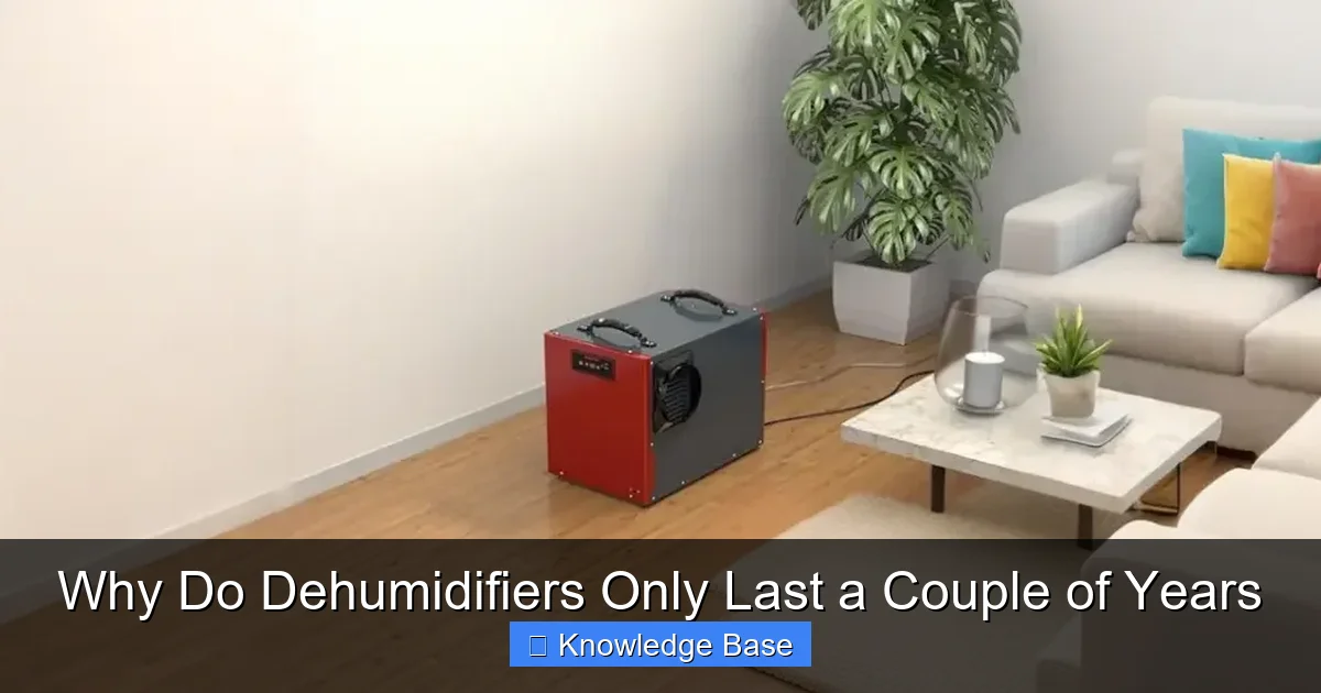 Why Do Dehumidifiers Only Last a Couple of Years
