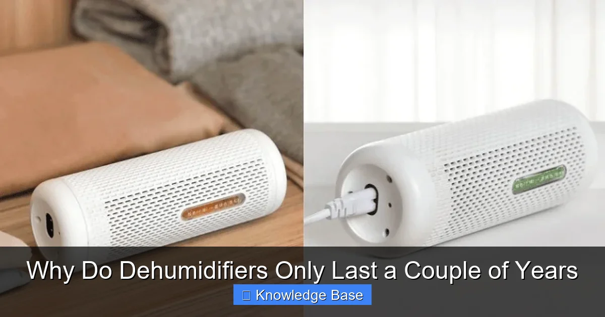 Why Do Dehumidifiers Only Last a Couple of Years