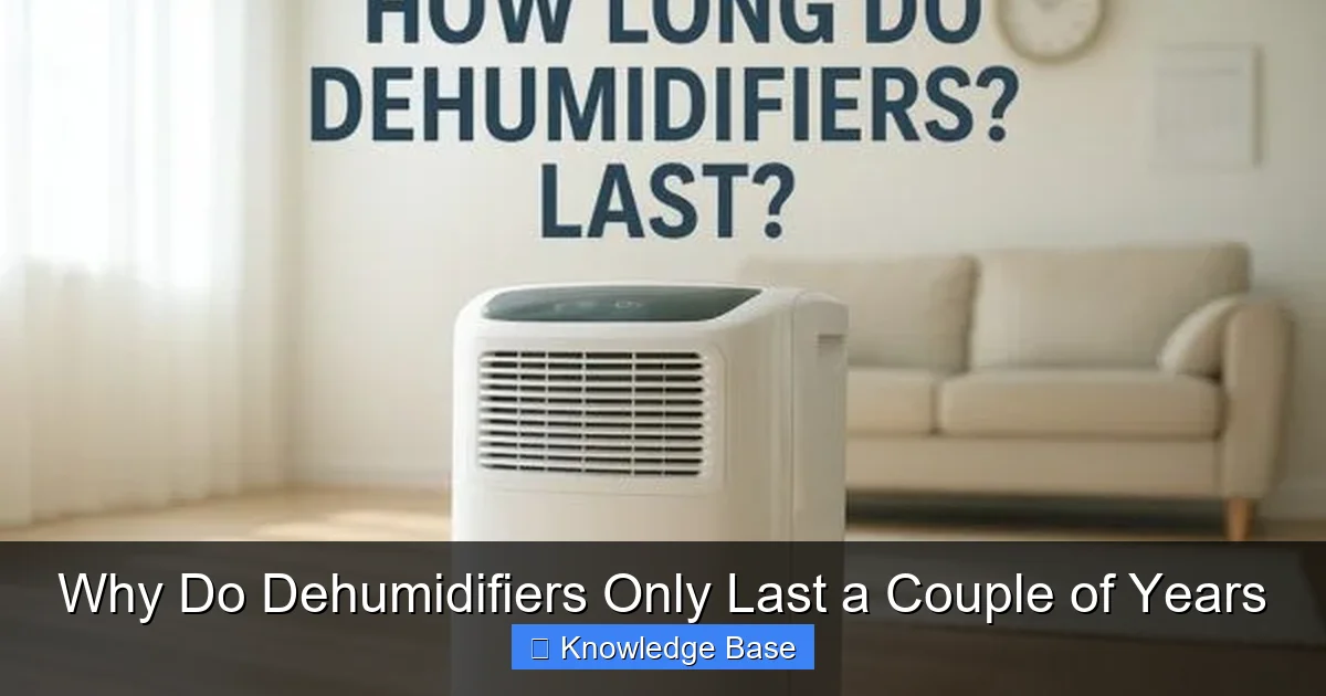 Why Do Dehumidifiers Only Last a Couple of Years