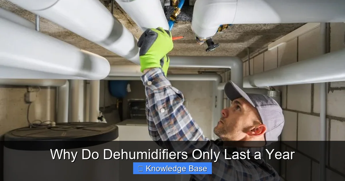 Why Do Dehumidifiers Only Last a Year
