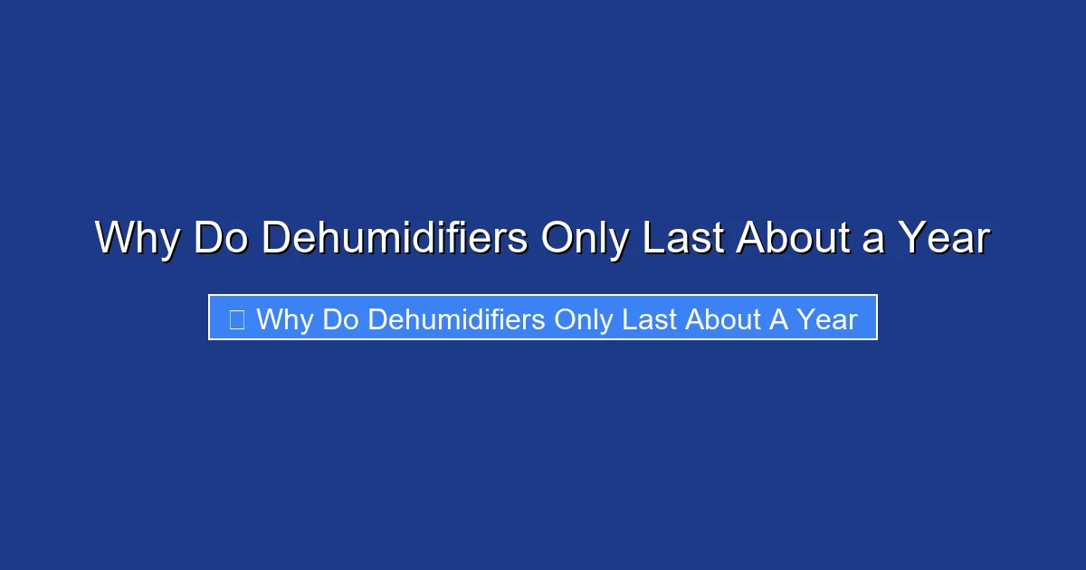 Why Do Dehumidifiers Only Last About a Year