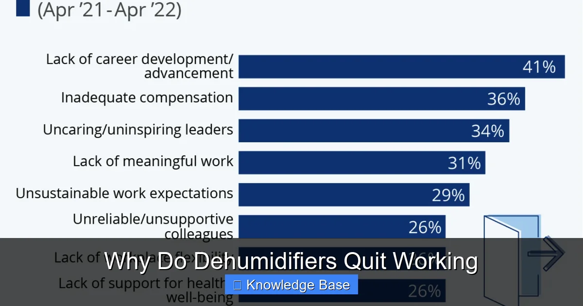 Why Do Dehumidifiers Quit Working