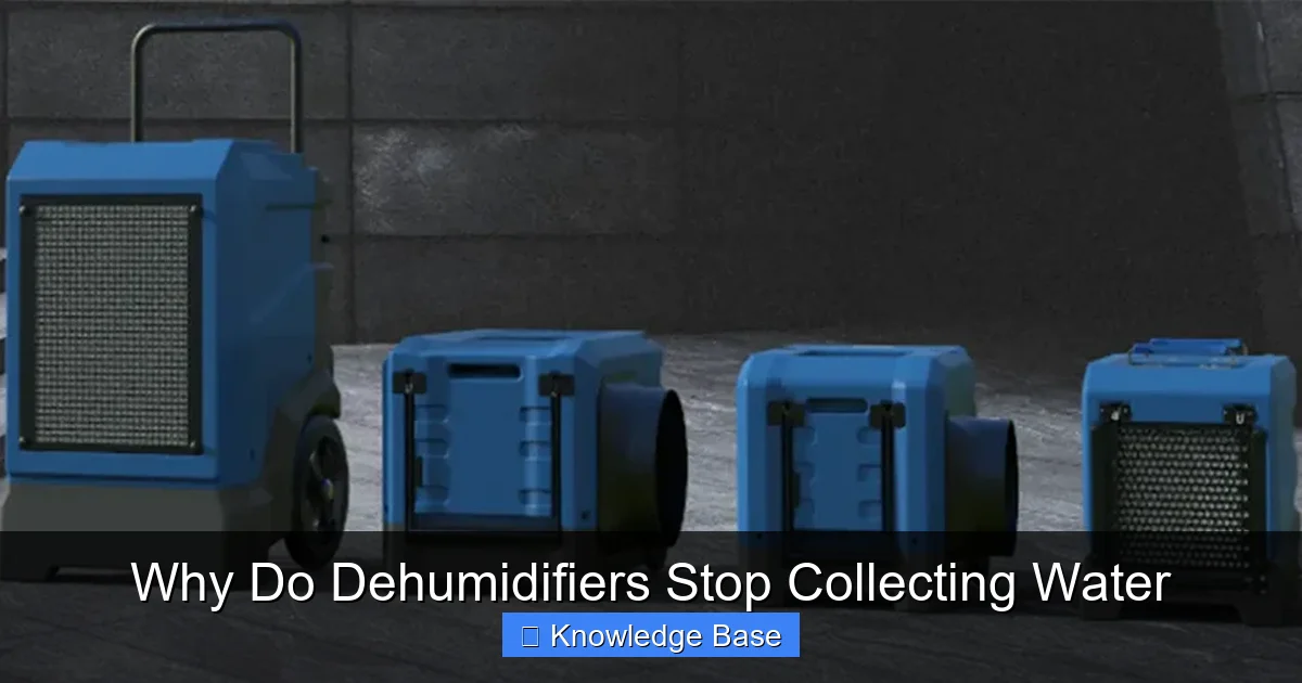 Why Do Dehumidifiers Stop Collecting Water