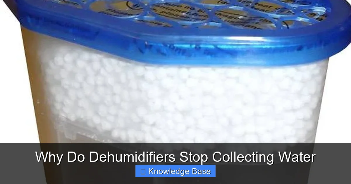 Why Do Dehumidifiers Stop Collecting Water