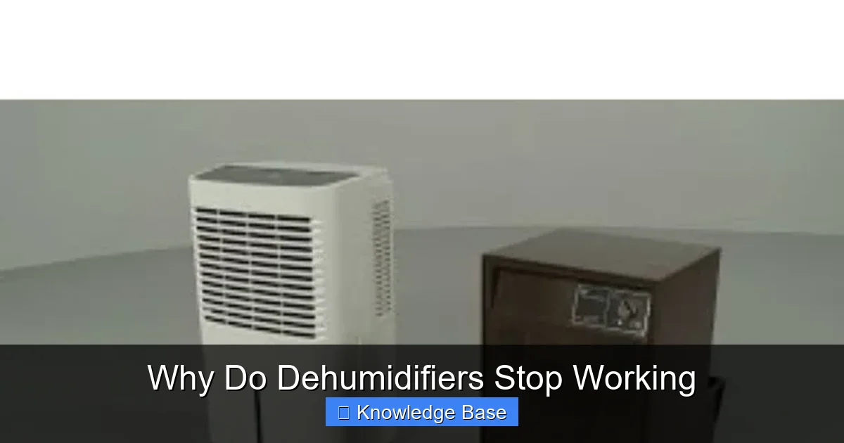 Why Do Dehumidifiers Stop Working