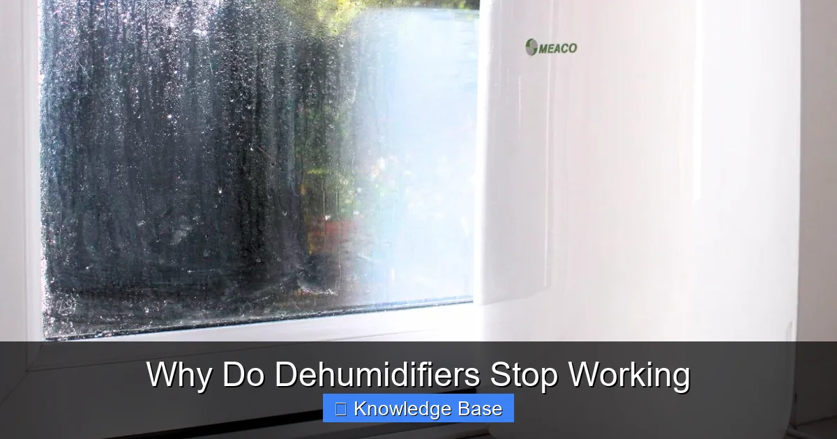 Why Do Dehumidifiers Stop Working