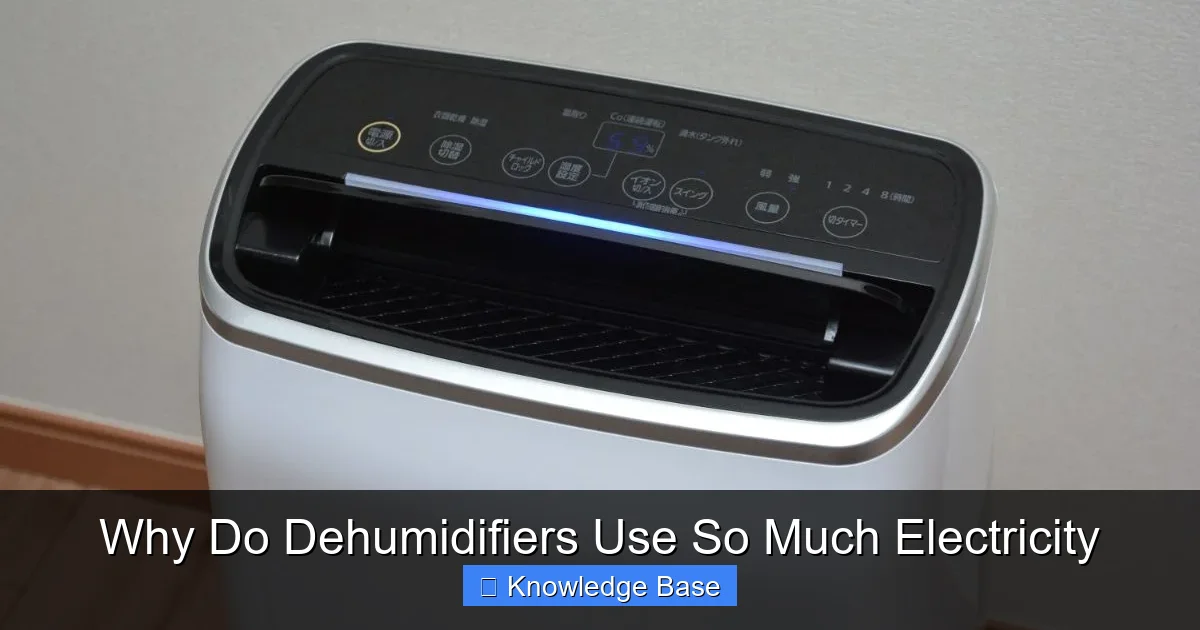 Why Do Dehumidifiers Use So Much Electricity