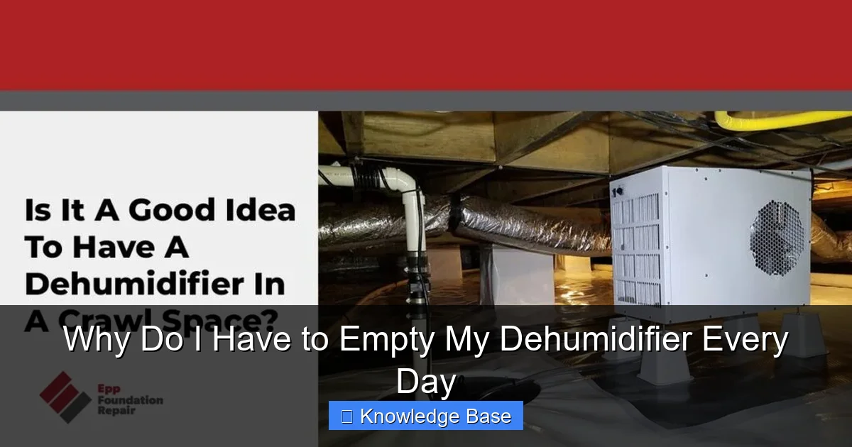 Why Do I Have to Empty My Dehumidifier Every Day