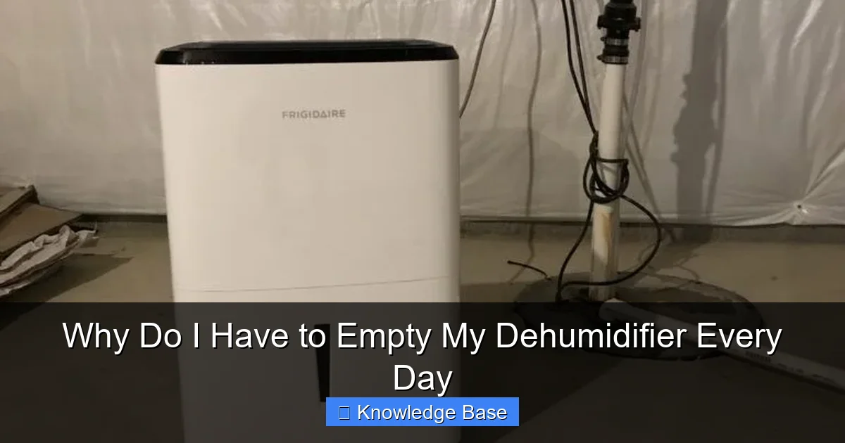 Why Do I Have to Empty My Dehumidifier Every Day