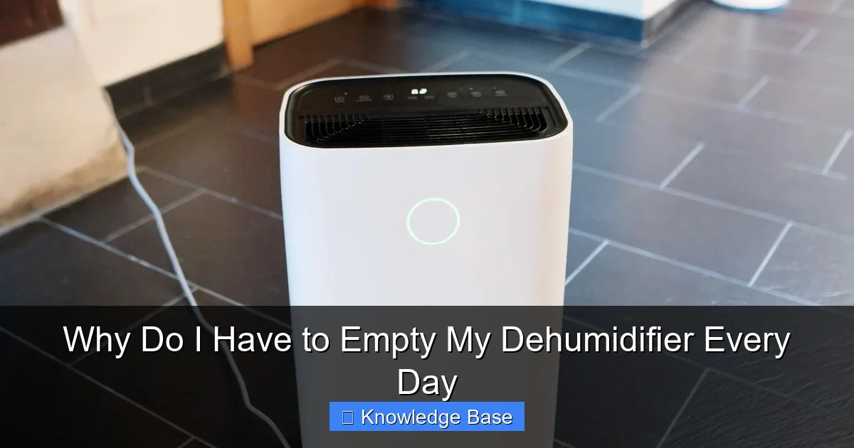 Why Do I Have to Empty My Dehumidifier Every Day