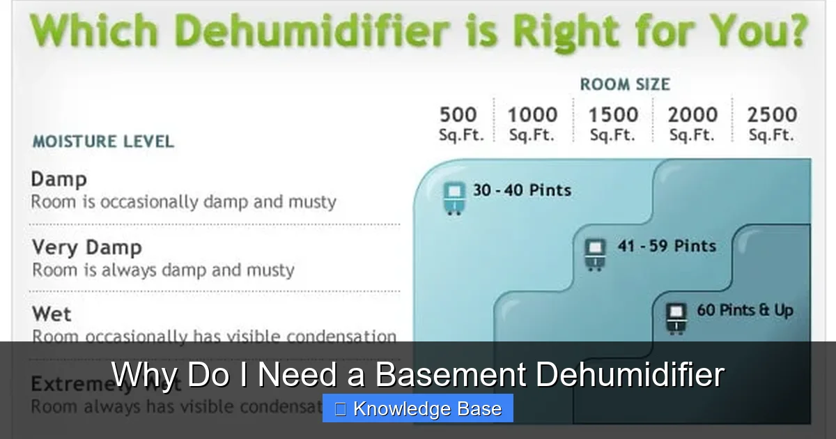 Why Do I Need a Basement Dehumidifier