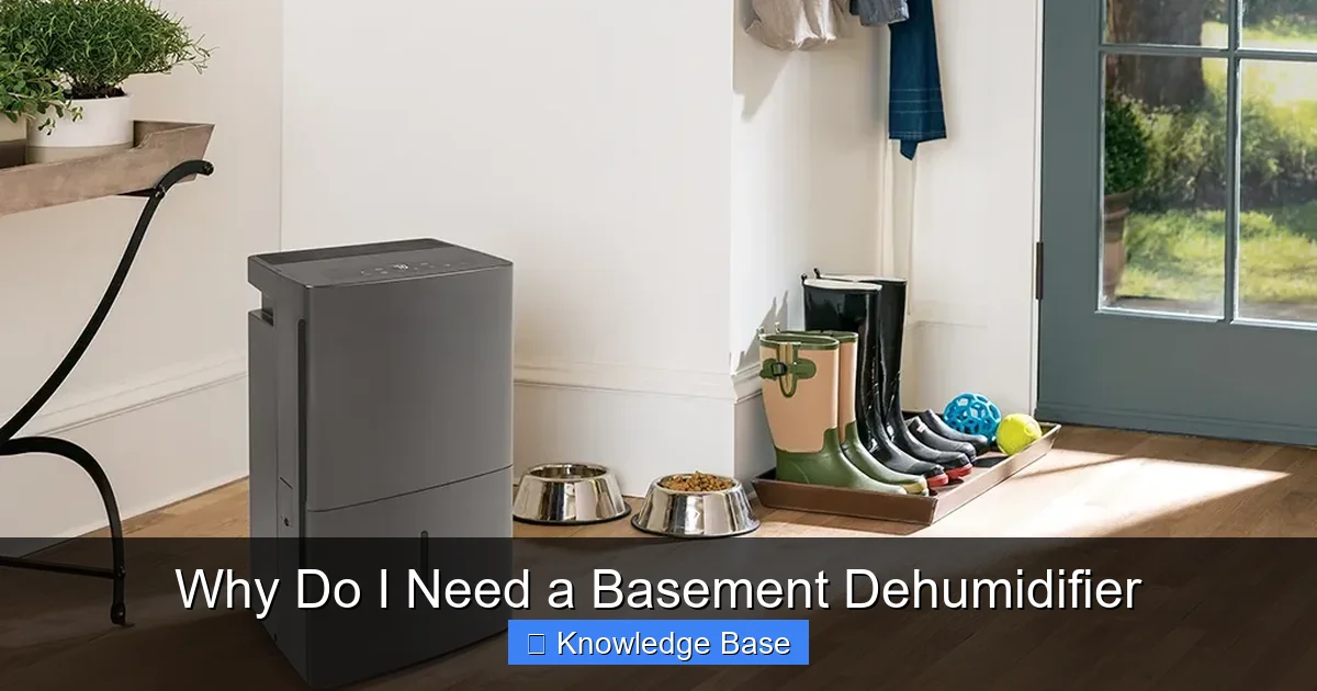Why Do I Need a Basement Dehumidifier