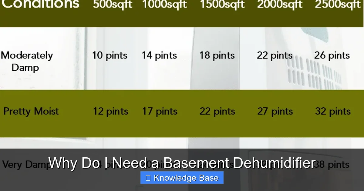 Why Do I Need a Basement Dehumidifier