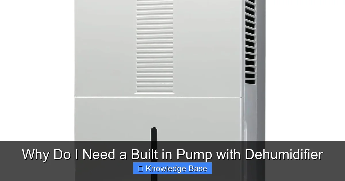 Why Do I Need a Built in Pump with Dehumidifier