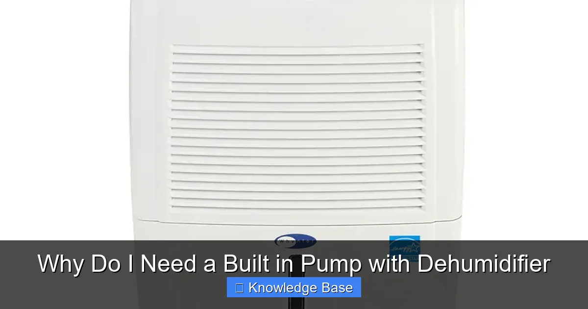 Why Do I Need a Built in Pump with Dehumidifier