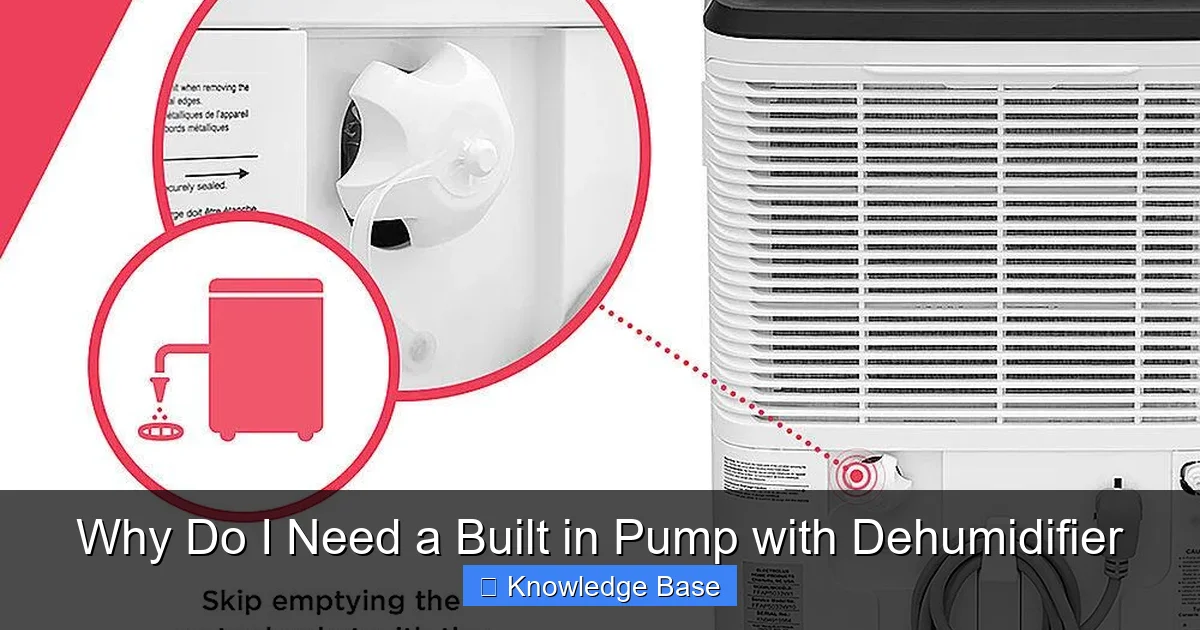 Why Do I Need a Built in Pump with Dehumidifier