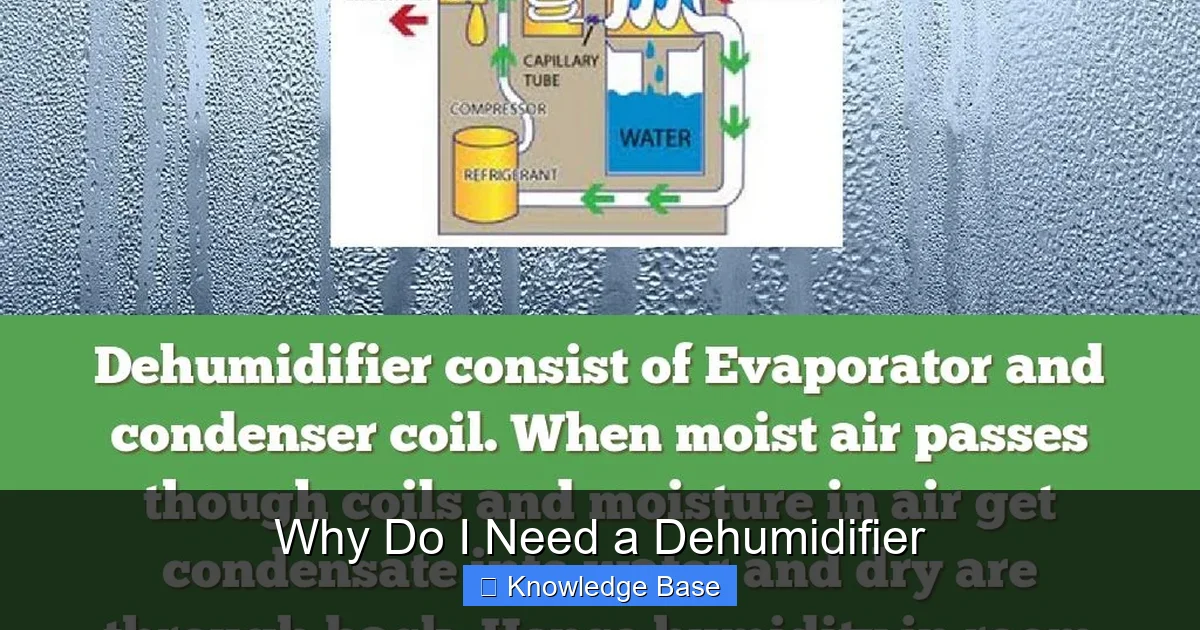 Why Do I Need a Dehumidifier