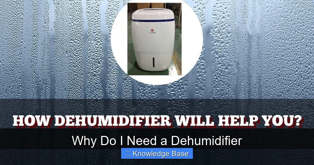 Why Do I Need a Dehumidifier