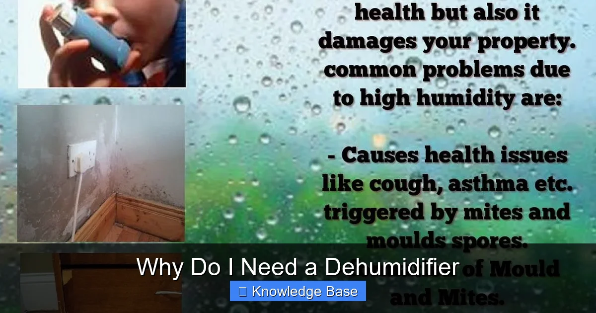Why Do I Need a Dehumidifier