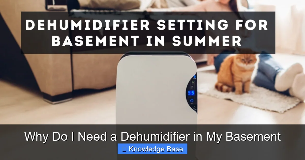Why Do I Need a Dehumidifier in My Basement
