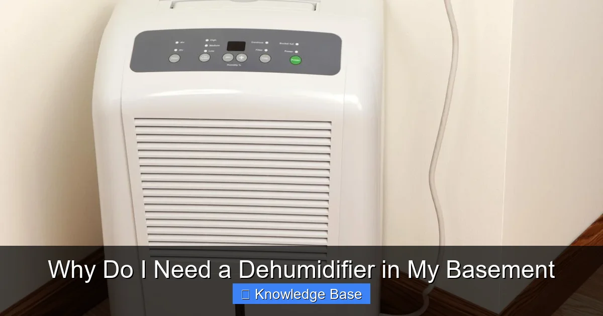 Why Do I Need a Dehumidifier in My Basement