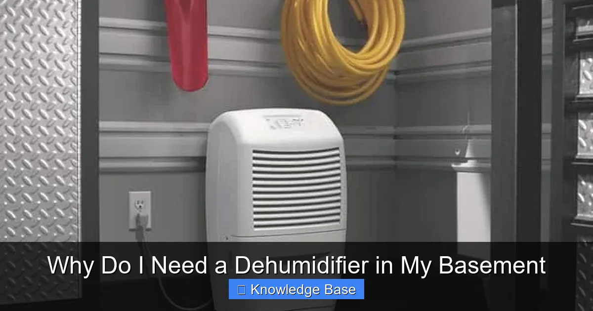 Why Do I Need a Dehumidifier in My Basement
