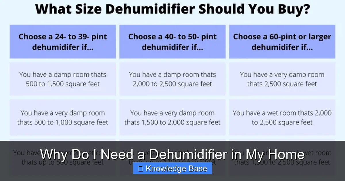 Why Do I Need a Dehumidifier in My Home