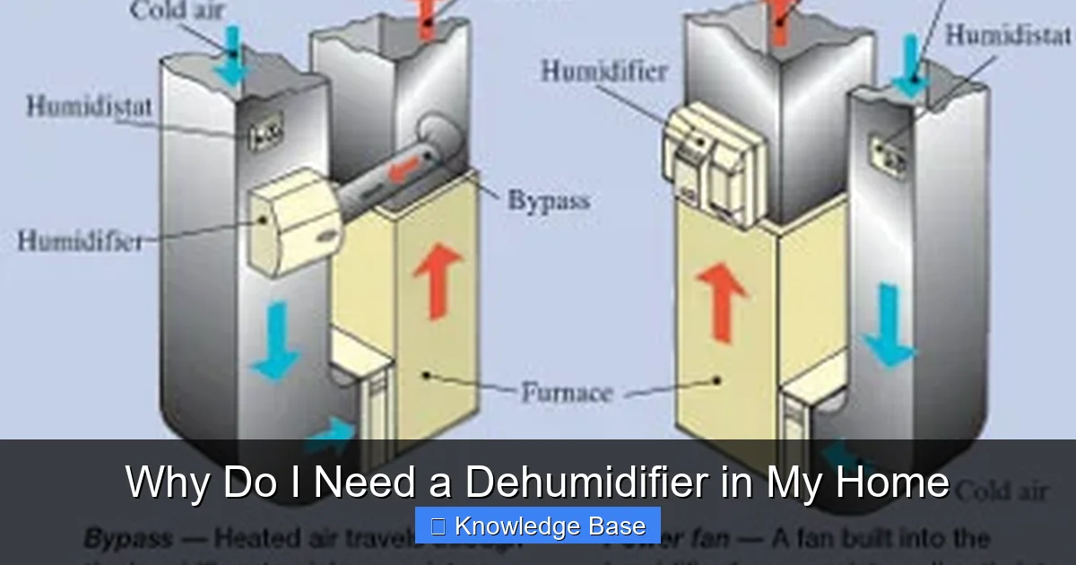 Why Do I Need a Dehumidifier in My Home