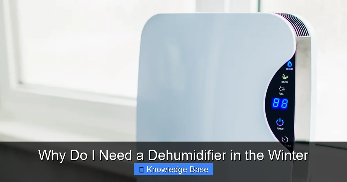 Why Do I Need a Dehumidifier in the Winter