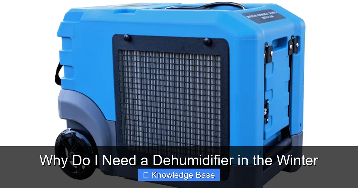 Why Do I Need a Dehumidifier in the Winter