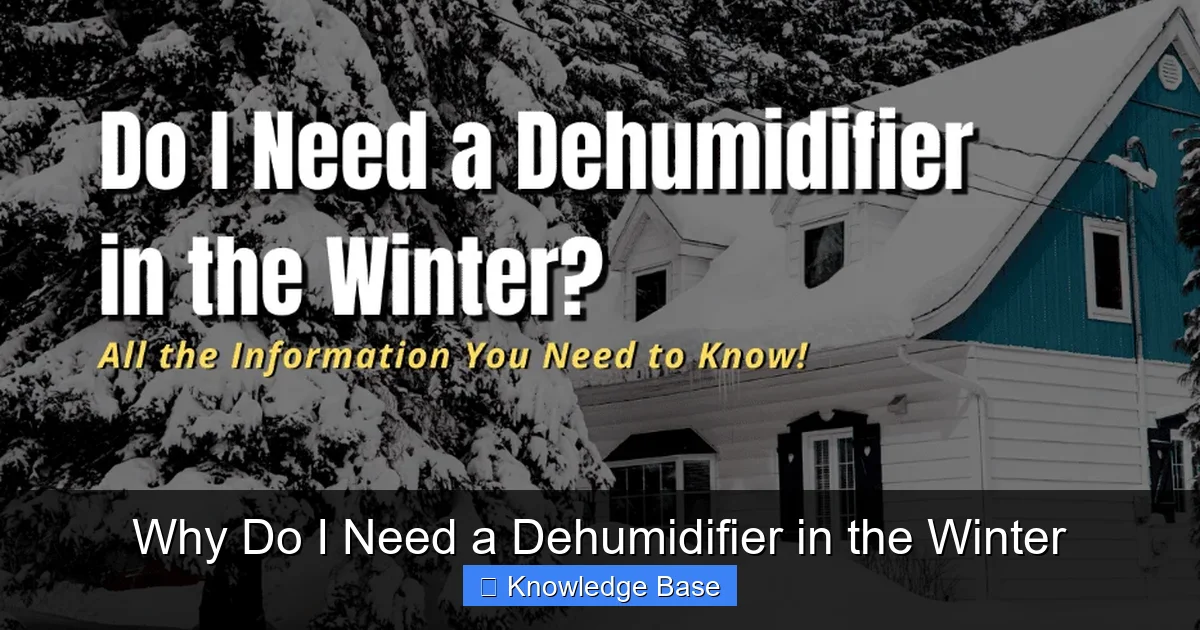 Why Do I Need a Dehumidifier in the Winter