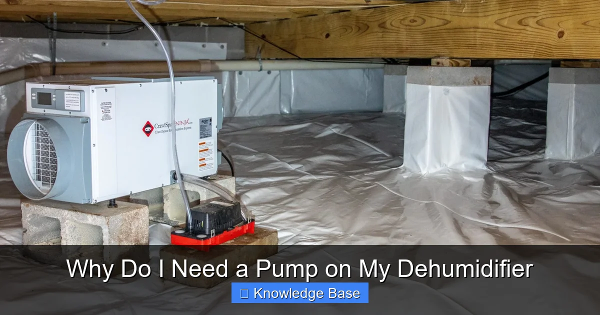 Why Do I Need a Pump on My Dehumidifier