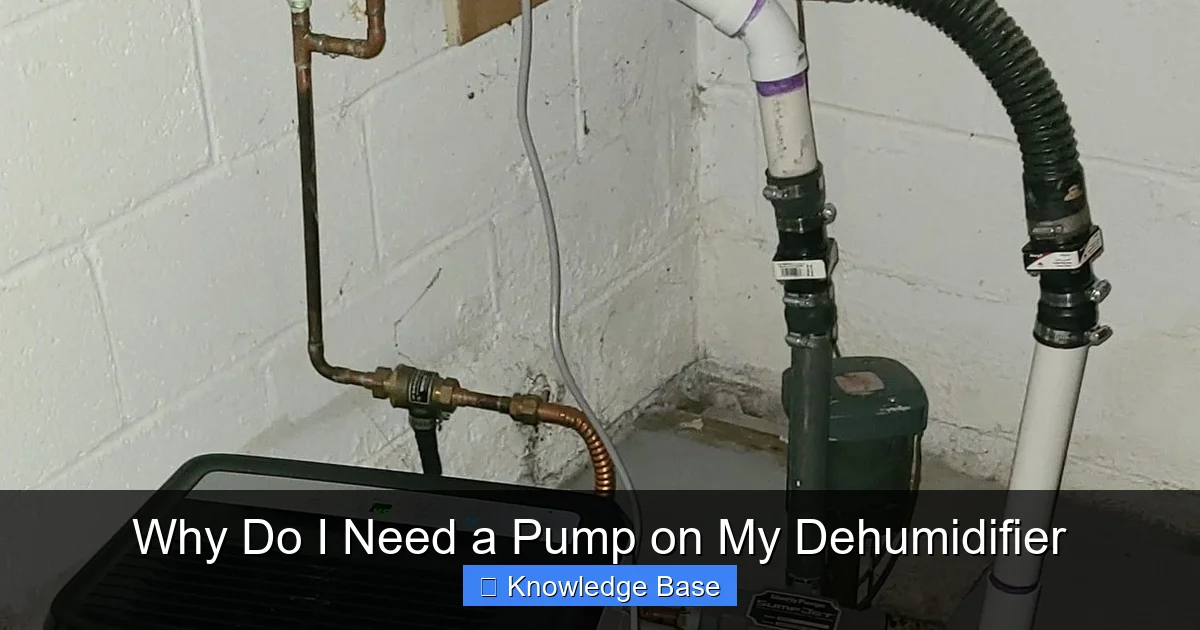 Why Do I Need a Pump on My Dehumidifier