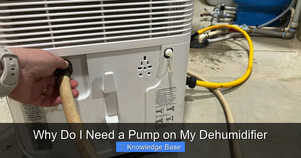 Why Do I Need a Pump on My Dehumidifier