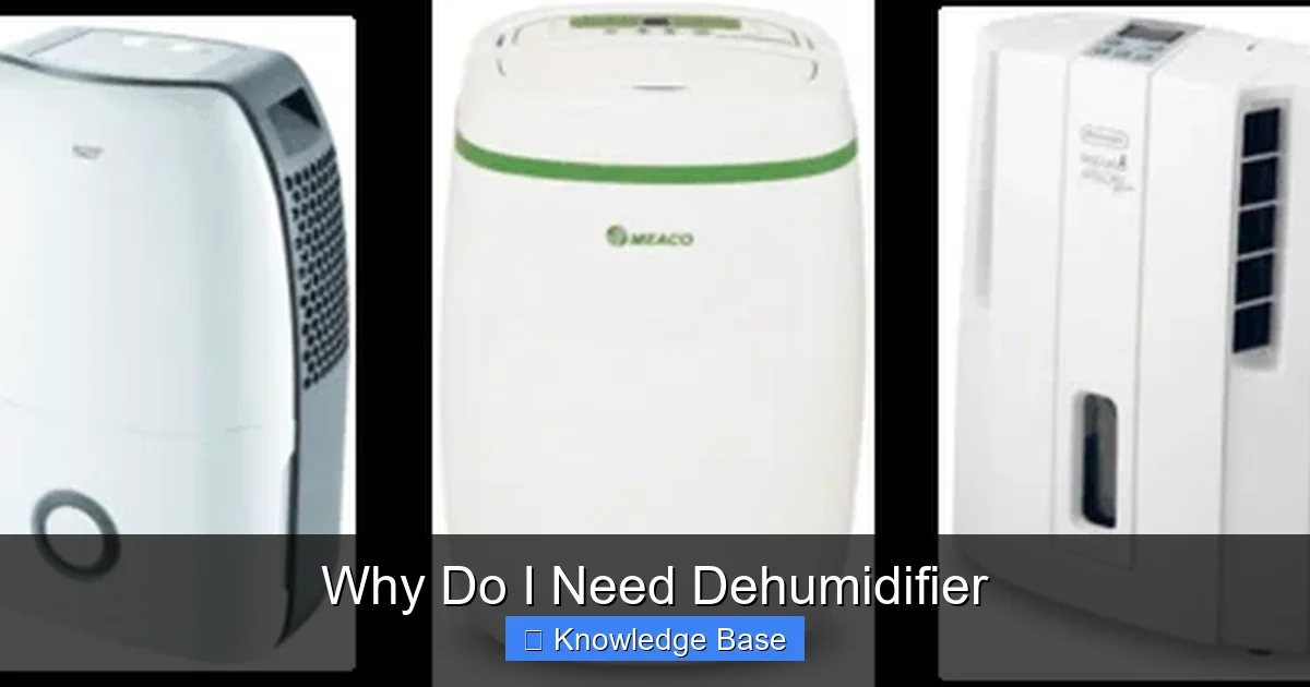 Why Do I Need Dehumidifier