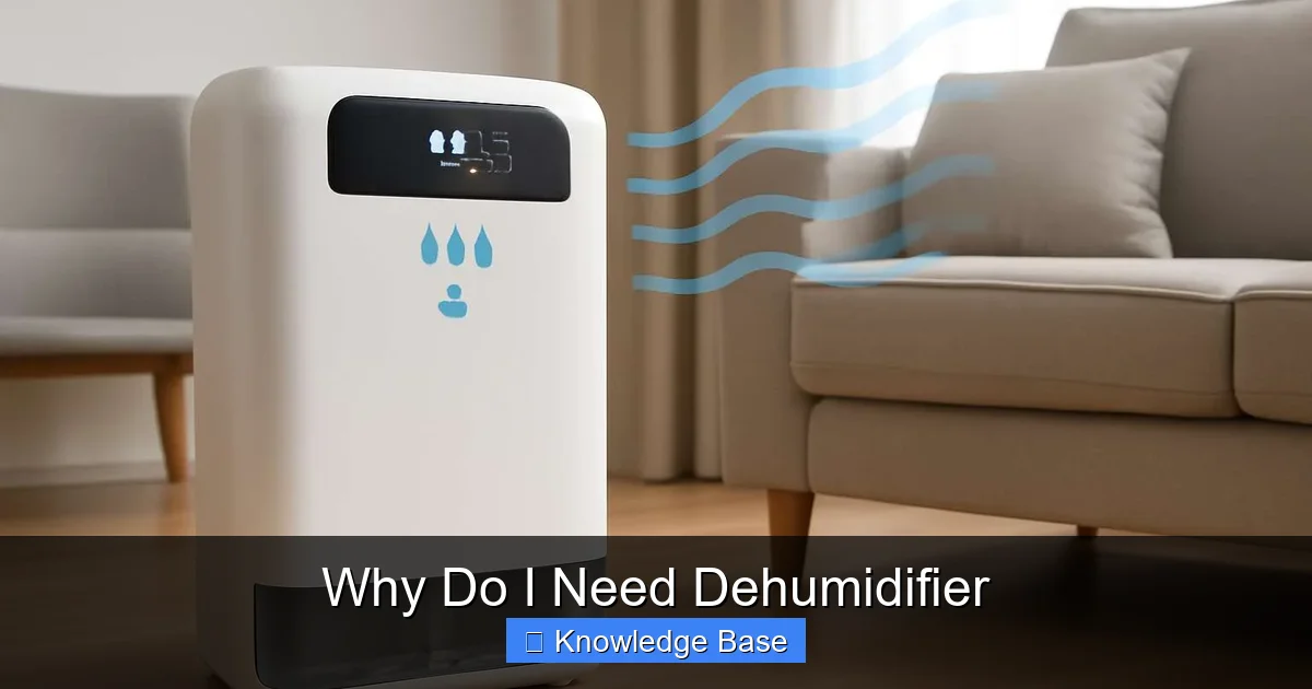 Why Do I Need Dehumidifier