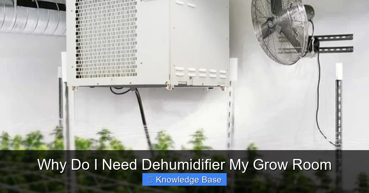 Why Do I Need Dehumidifier My Grow Room