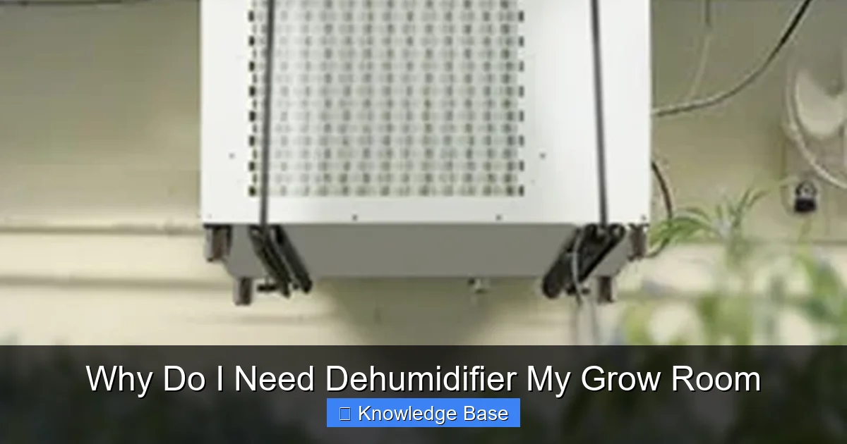 Why Do I Need Dehumidifier My Grow Room