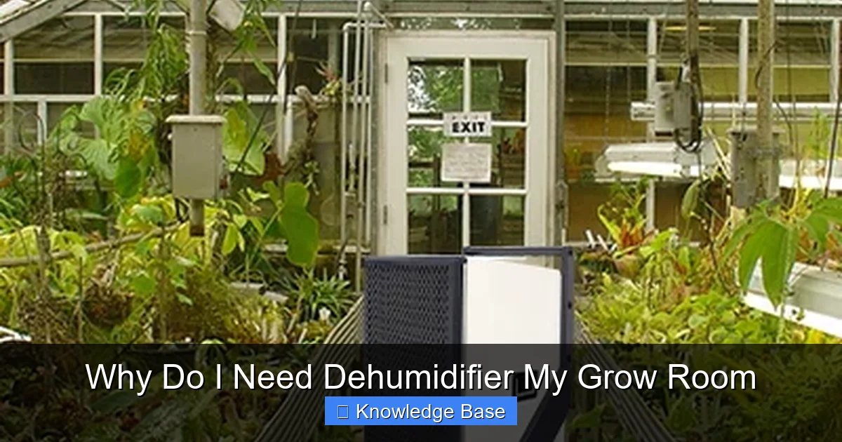 Why Do I Need Dehumidifier My Grow Room