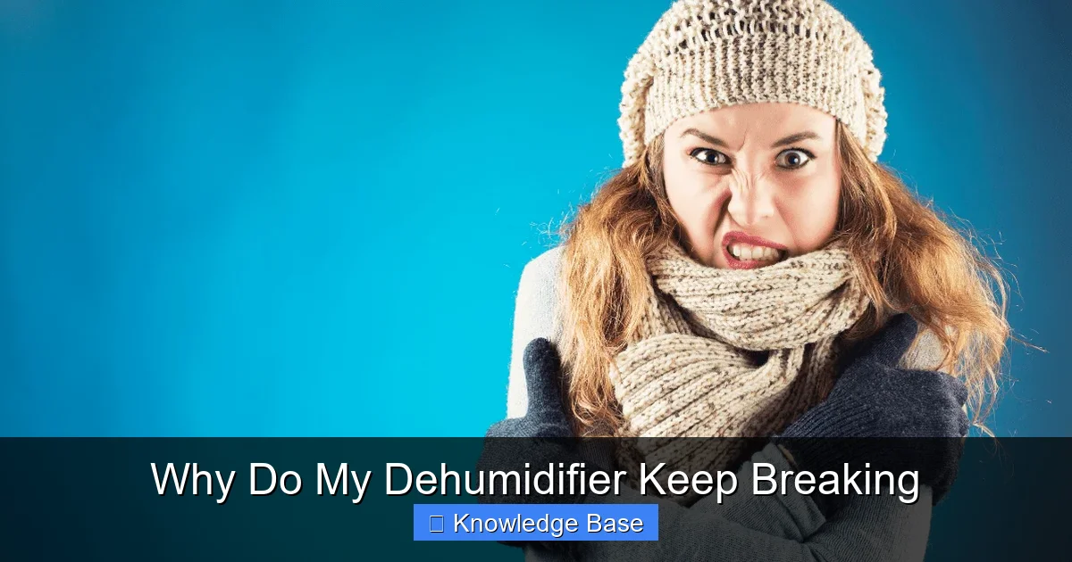Why Do My Dehumidifier Keep Breaking