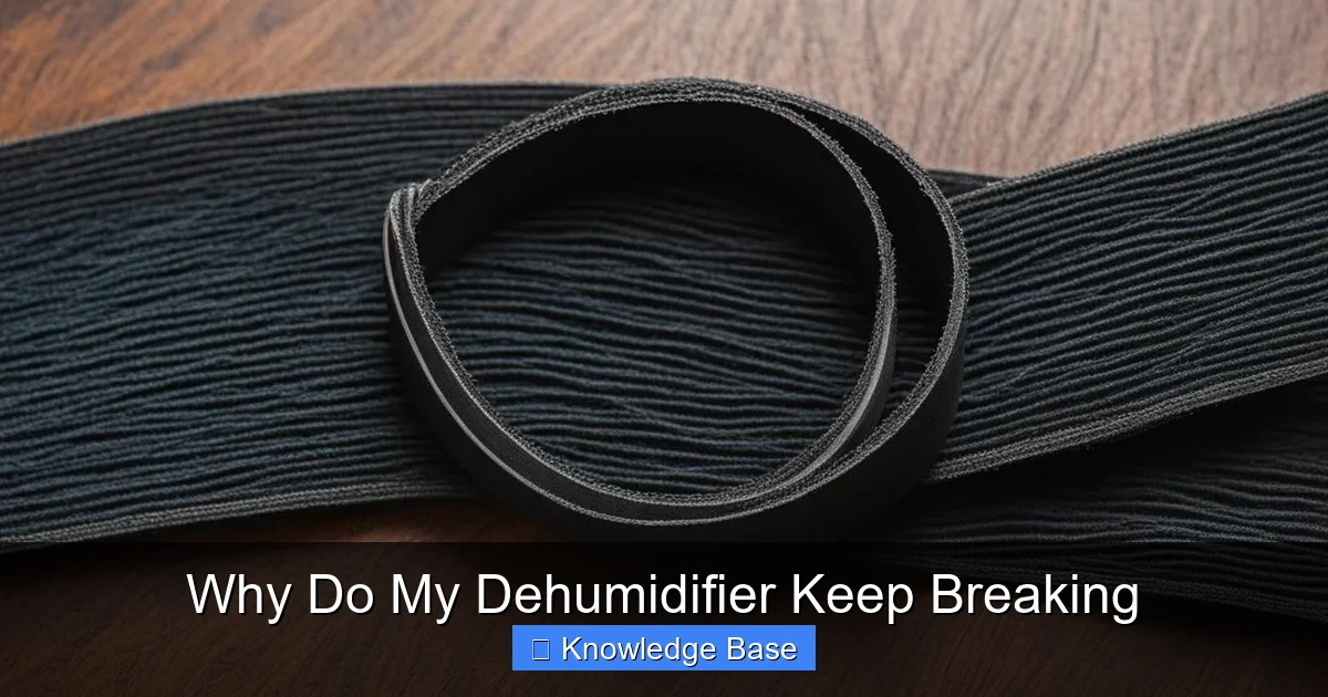 Why Do My Dehumidifier Keep Breaking