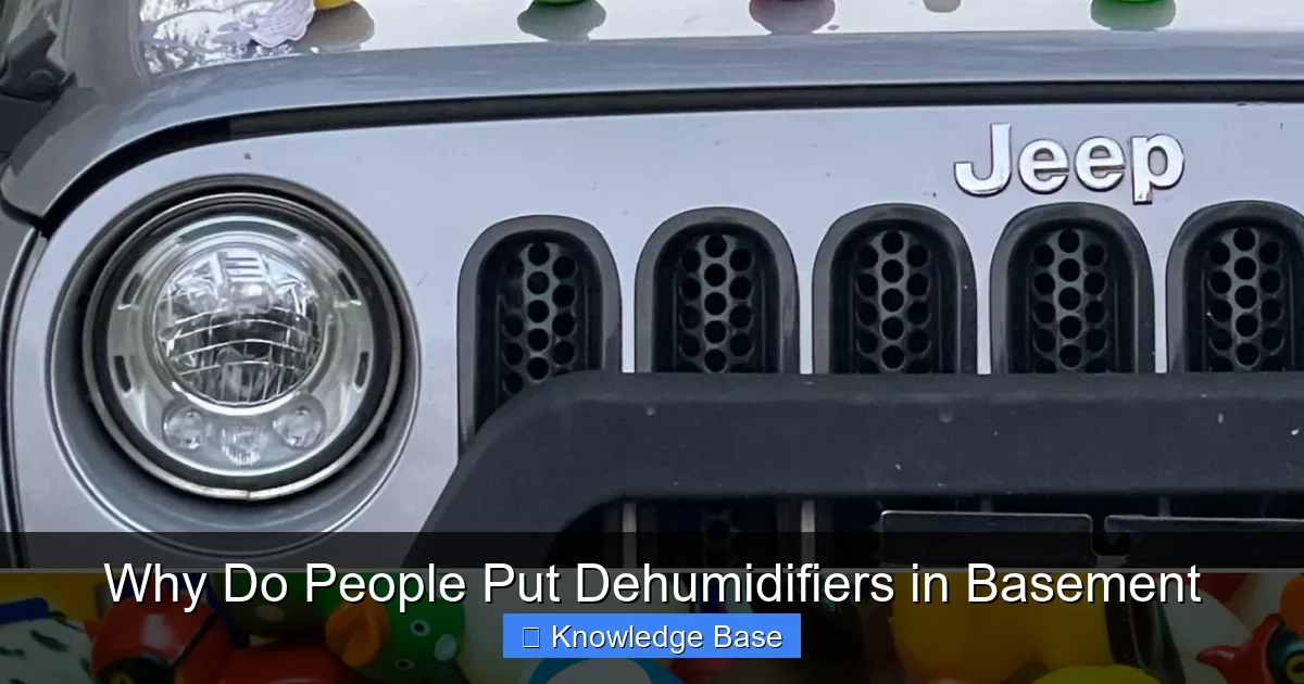 Why Do People Put Dehumidifiers in Basement