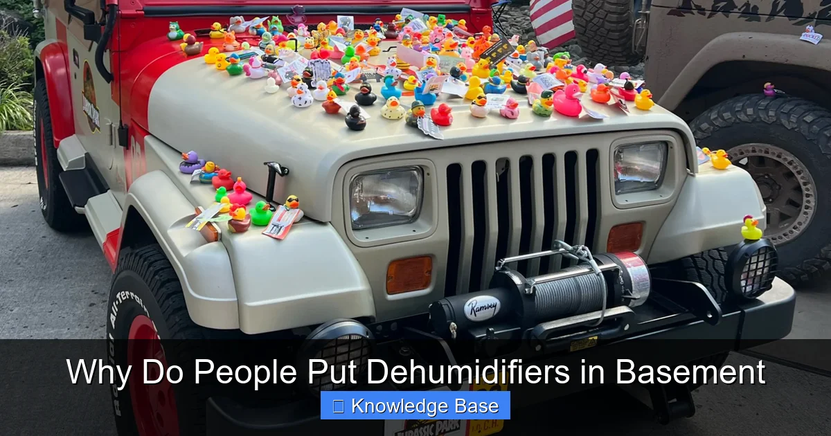 Why Do People Put Dehumidifiers in Basement